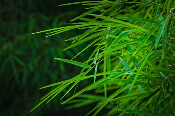 带窗字的微信网名