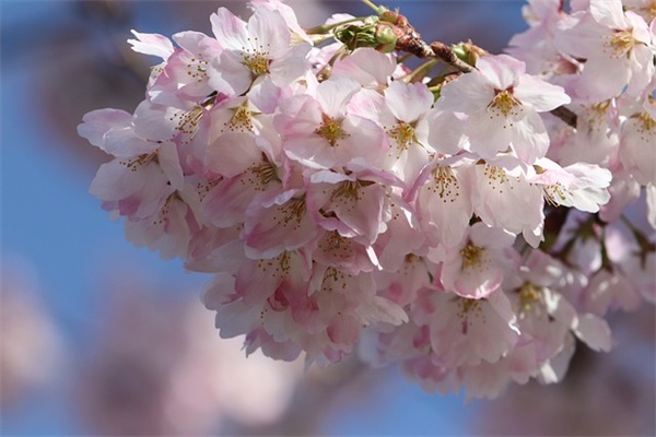 医师节领导发言(精选10篇) 医师节领导发言(精选10篇)