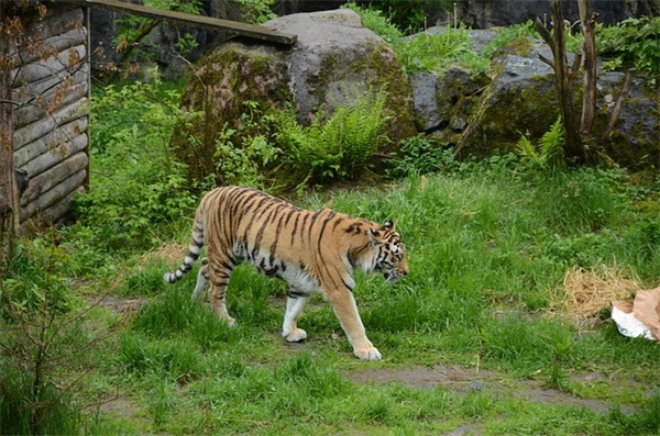 喜迎国庆2025建国73周年文案祝福语朋友圈