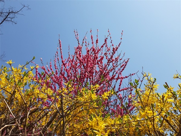 中秋祝福语搞笑83句