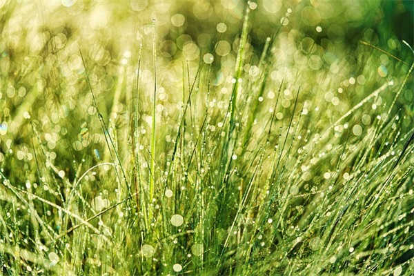 文艺范新年祝福语82句