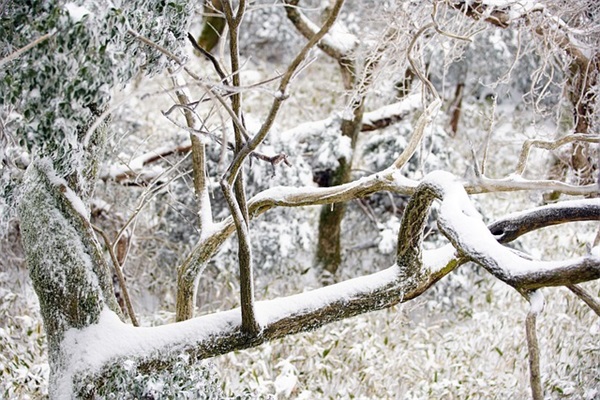 朋友结婚短信祝福语82句