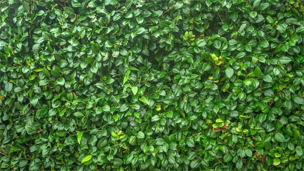 温暖祝福语82句