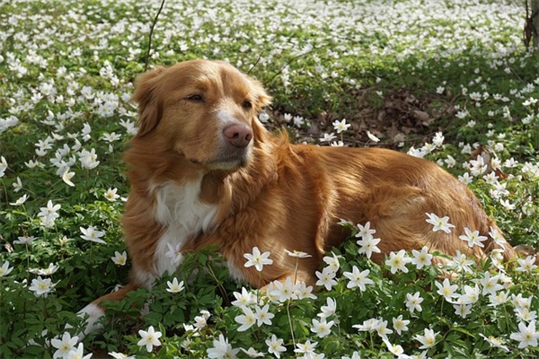 生日温馨祝福语81句