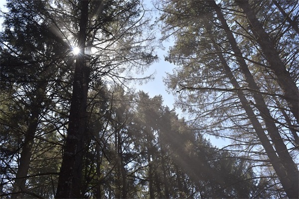 共青团成立100周年文案说说 共青团成立100周年祝福语