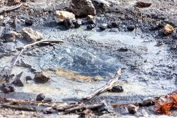 单位生日祝福语80句