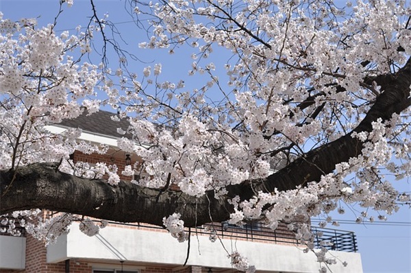 闺蜜结婚祝福语创意85句