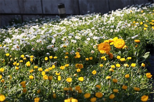 给出门在外的祝福语83句