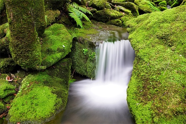 qq生日祝福语都有哪些90句