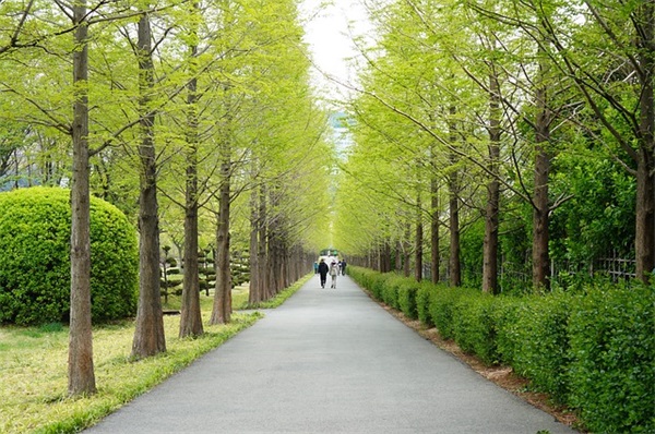 对毕业生的简短祝福语