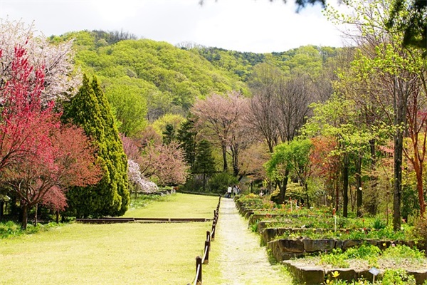 春节拜年祝福语 给长辈拜年的祝福语