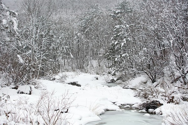 端午情人祝福语81句