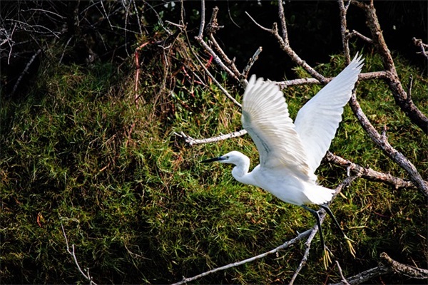 中秋节暖心祝福语简短