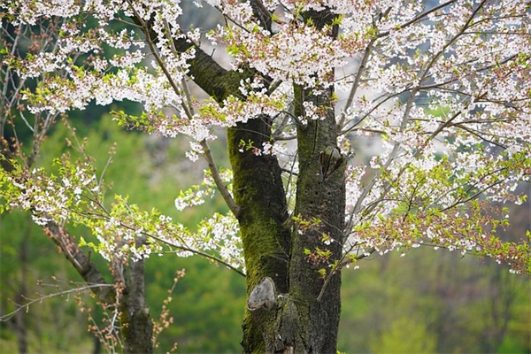 客户生日祝福语大全80句 客户生日祝福语大全80句