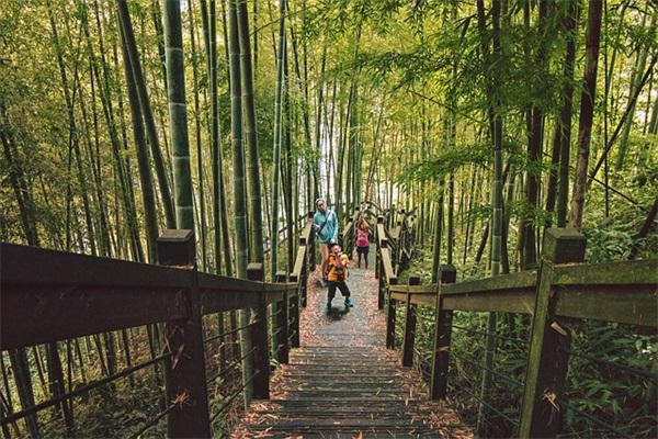 正月十五的祝福语83句 正月十五的祝福语83句