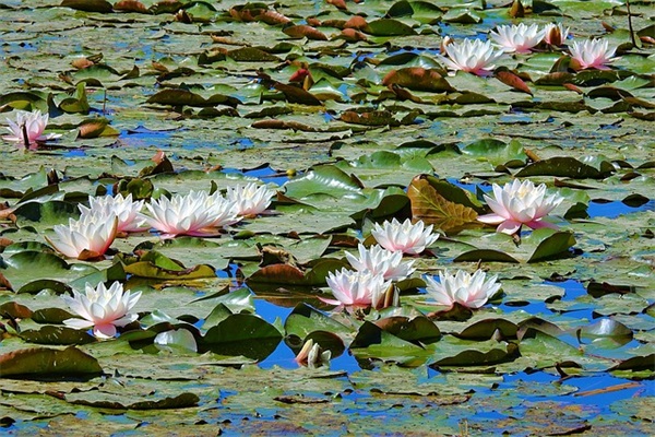 青年节励志祝福语69句