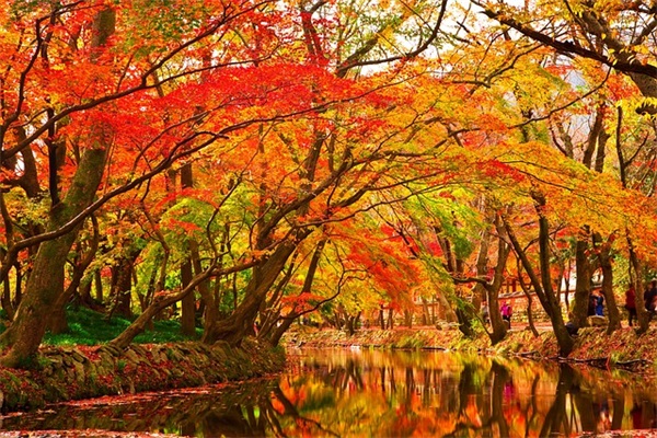 中秋节朋友圈祝福语 中秋节朋友圈祝福语简短