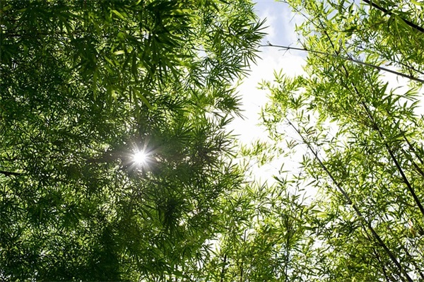 生日祝福语2025最火句子大全(经典生日祝福语大全)