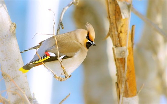 最新十二月再见 一月你好句子