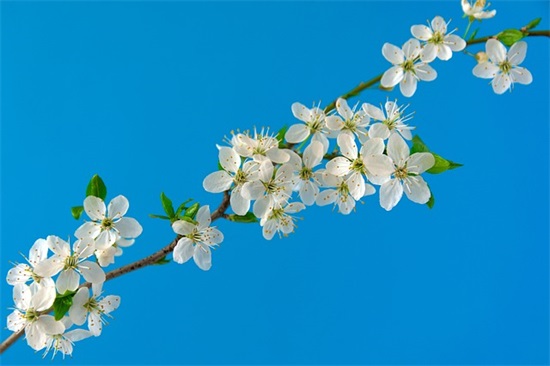 生物教学论文范例6篇