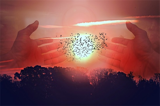 带猴字的qq男网名