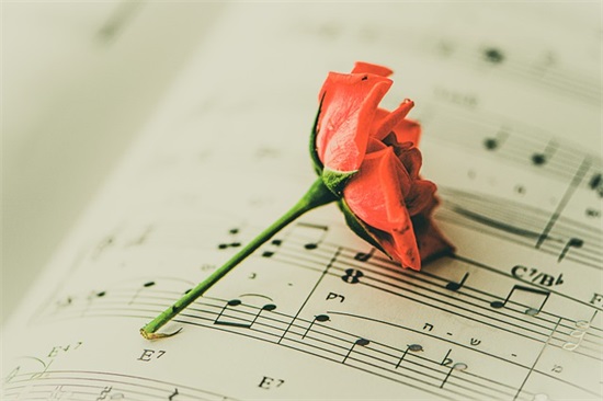 女生简单网名大全