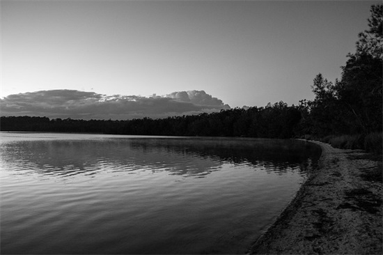 简单大方的女生网名