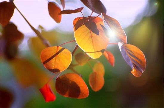 微信男网名简单