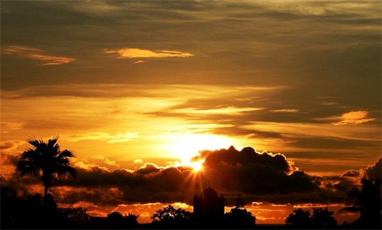 网名我要个性网2个字