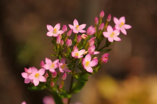 姓玉的网名个性网名