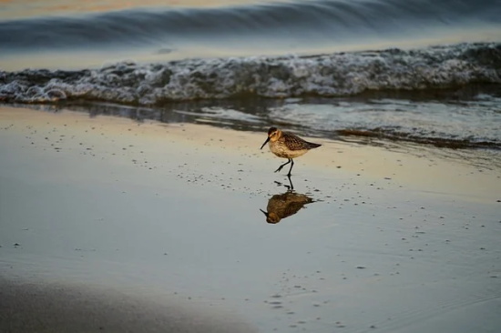 吸引人关注的文案短句子大全 吸引人关注的文案短句子大全