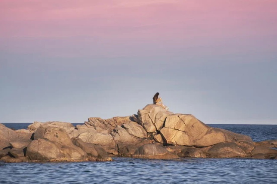 早安让人看了舒服的句子(甜蜜暧昧的早安问候语)