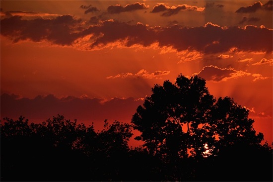 一句积极向上的励志句子(阳光正能量的简短励志好句子)