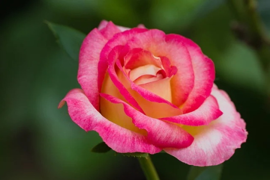 关于咖啡馆的句子48句