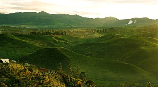 名人爱情句子83句