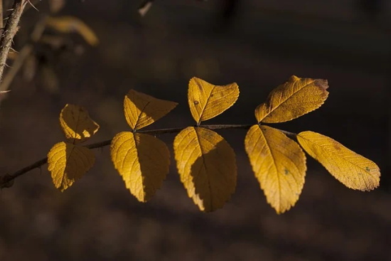 特别潇洒的句子 潇洒的句子