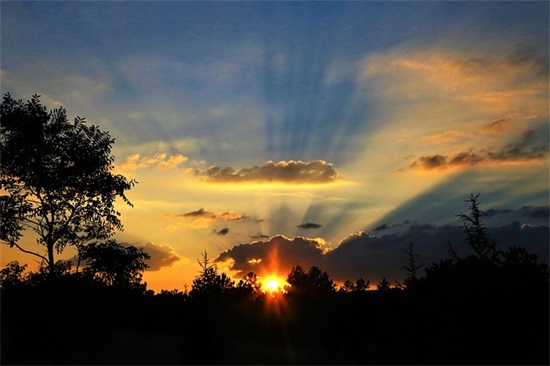 带梦和想的字网名 带梦和想的字网名