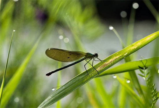带于字的网名搞笑