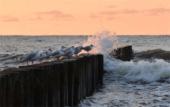 微信男生搞笑网名最新版(354个)
