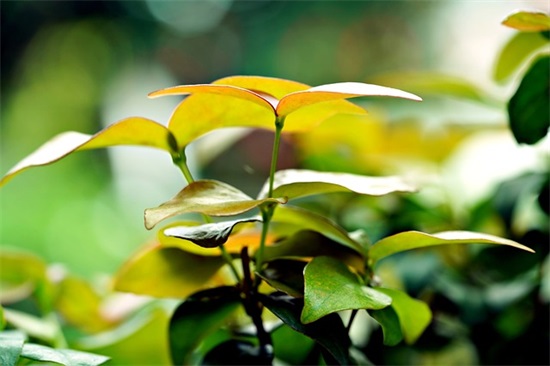 带余的个性拼音网名男士