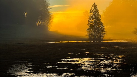 带娜美个性名字的网名