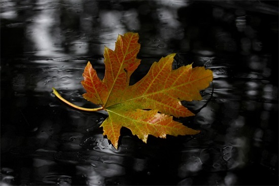 清明节祭英烈文案句子 清明节祭英烈活动入口
