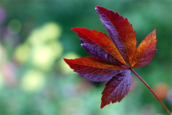 离开伤感的句子109句 离开伤感的句子109句