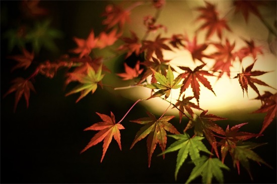 特别幽默搞笑的句子(很幽默很搞笑的句子)