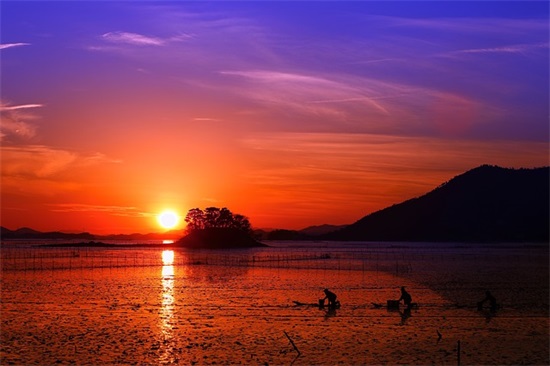 描写凄美爱情的句子