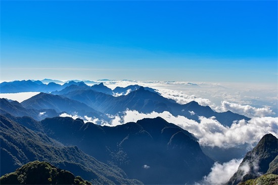 很深奥的爱情句子56句