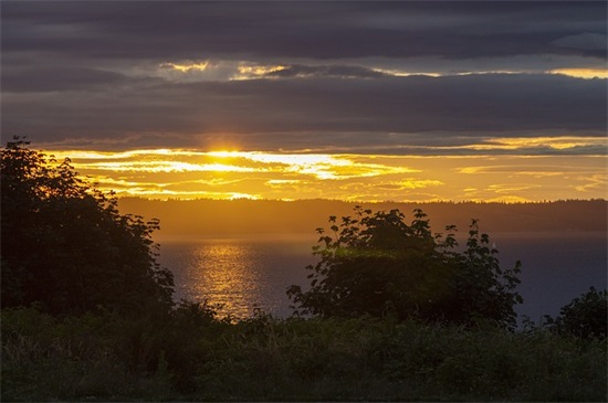 关于梦想的句子短的 关于梦想的句子短的