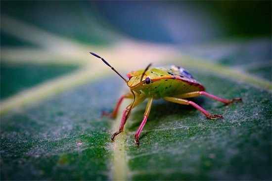 关于伤感的句子83句