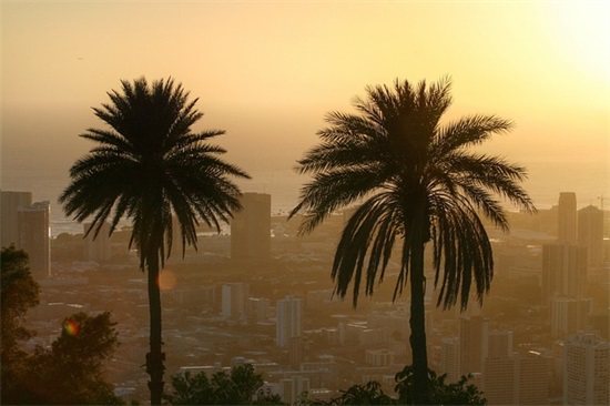 春天的一场雪的说说 春天的一场雪的说说