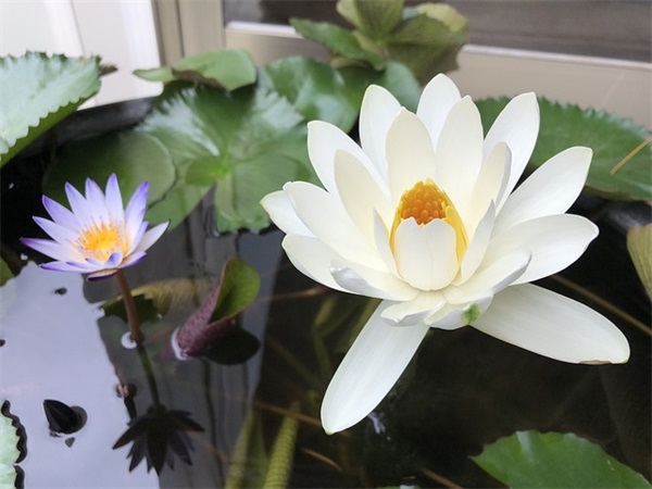 经典语录英语